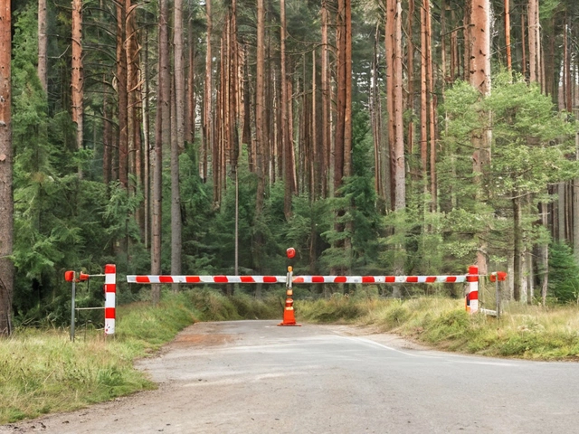 Психическое здоровье мужчин: Преодоление стигмы и культурных барьеров в поиске помощи